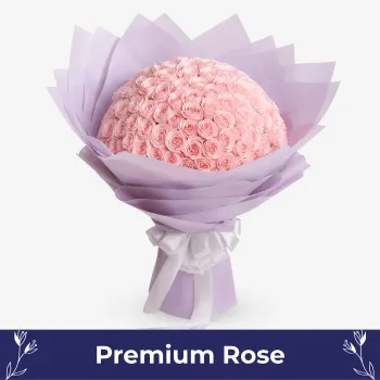 Blooming Blush (100 Premium Roses)