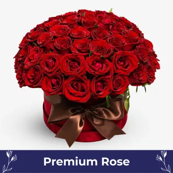 Ruby Bloom (60 Premium Roses)