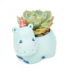 echeveria hippo.webp