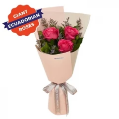 Pink Ecuadorian Love.webp