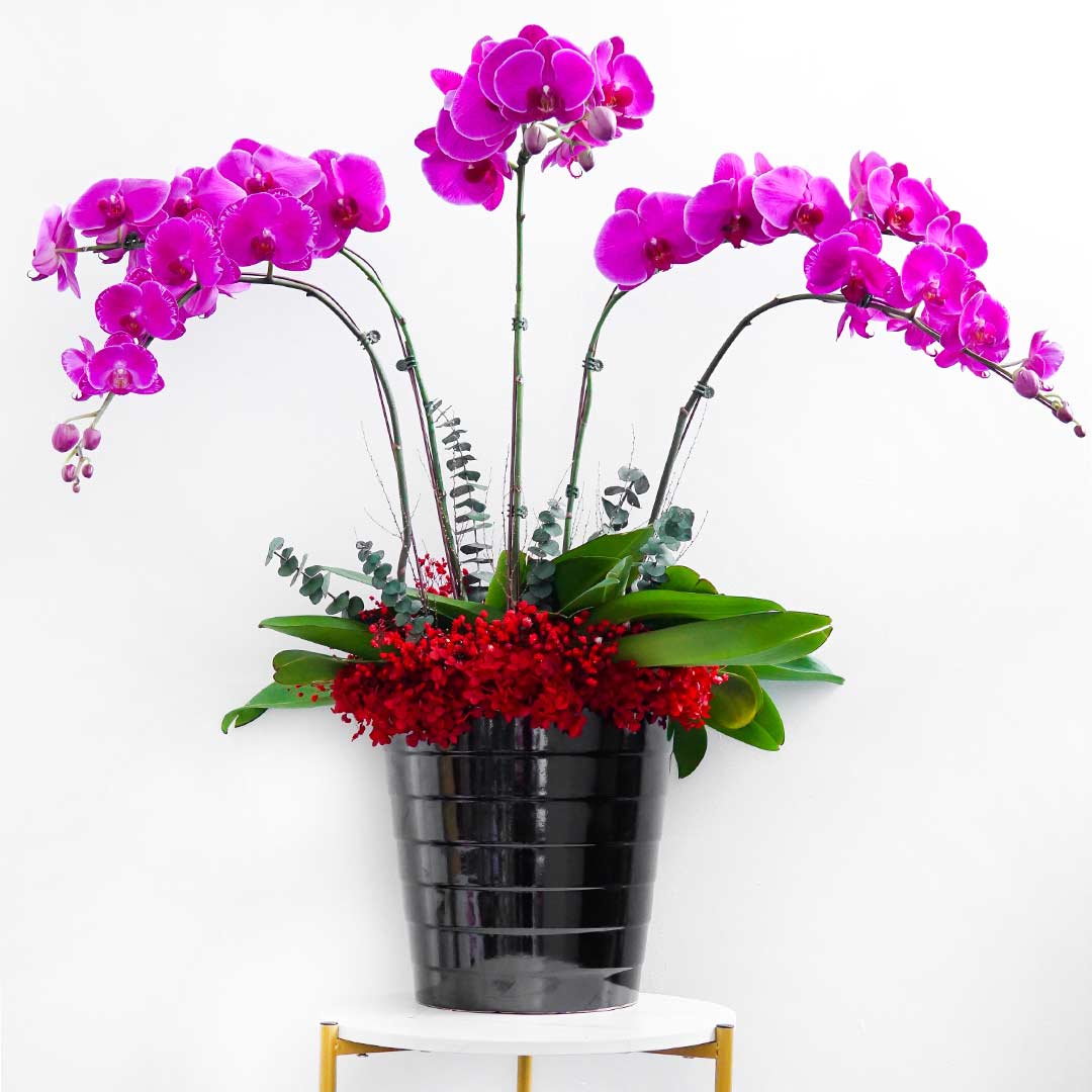 Sultry FlowerStore.ph FlowerStore.ph SameDay Flower Delivery