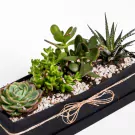 Plant Palette - default