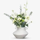 Ivory Garden