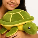 Turtle Plush with Voice Recorder - Standard