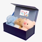 Oh Baby! Reveal Kit - Standard