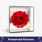 Preserved Peony in Mirror Box - Red