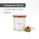 Evergreen Shrub Scented Soy Candle - 250ml