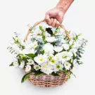 Basket of Chances - Standard