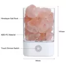 Himalayan Salt Vase Lamp - Standard