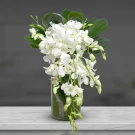 Petals of Peace - Standard