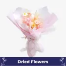 Quietude - default