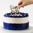 Noble Treat Cake - Money Pulling Cake (Vanilla)