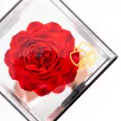 Preserved Peony in Mirror Box - Red