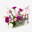 Fairy Blossom - Standard