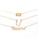 Zodiac Sign Necklace Set - Aquarius