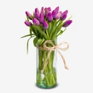 Violet Tulips (20 Stems) - Standard