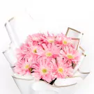 Pink Envy - Standard