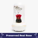 White ultrasonic diffuser with preserved red rose and dried baby's breath flowers