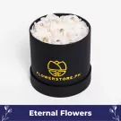 Ivory Blossoms - default