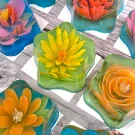 Wish Upon a Bloom Jelly Cake - Standard