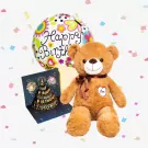 Teddy's Birthday Bundle - Standard