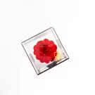 Preserved Peony in Mirror Box - Red