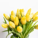 Yellow Tulips (20 Stems) - Standard
