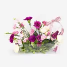 Fairy Blossom - Standard