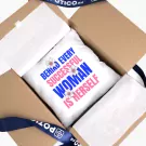 Successful Woman Pillow - Standard