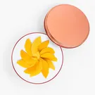 Peach Mango Cake in Can - Default