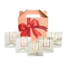 Five Flavors of Fruit Tea Bags Gift Box - Standard