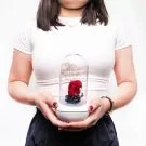 Woman holding white rose diffuser with red rose and baby's breath inside glass dome