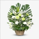 Harmony of Heaven - 1pc