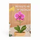 Proud to be Y'Orchid Giant Card - default