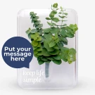 Eucalyptus Plant Acrylic Vase