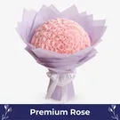 Blooming Blush (100 Pink Roses)
