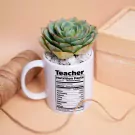 Teacher's Nutrition Facts Mug - With Succulent