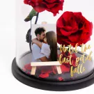Rose of Timeless Love - Standard