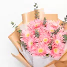 Sugar Blossom - Standard
