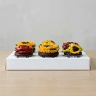 Sunny and Rosy Cupcakes - Standard