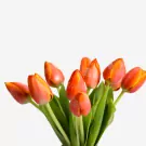 Red-orange tulips with green stems arranged in a bright bouquet against white background
