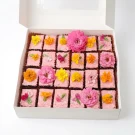 Berry Bloom Cream Cheese Brownies - Standard