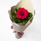 Single red rose with green foliage wrapped in cream paper with burgundy ribbon bow