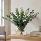 Eucalyptus Bowl