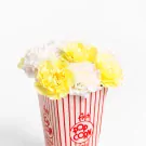 Pop Mix Bundle - Standard