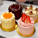 Cakelets in a Box - Box of 4 - Flavor Set 1