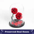 Rose Manor - Default