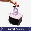 Heart's Treasure - Standard