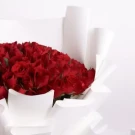 100 red roses arranged in white vases with lush, romantic floral display