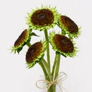 De-Petaled Sunflower Bunch 2